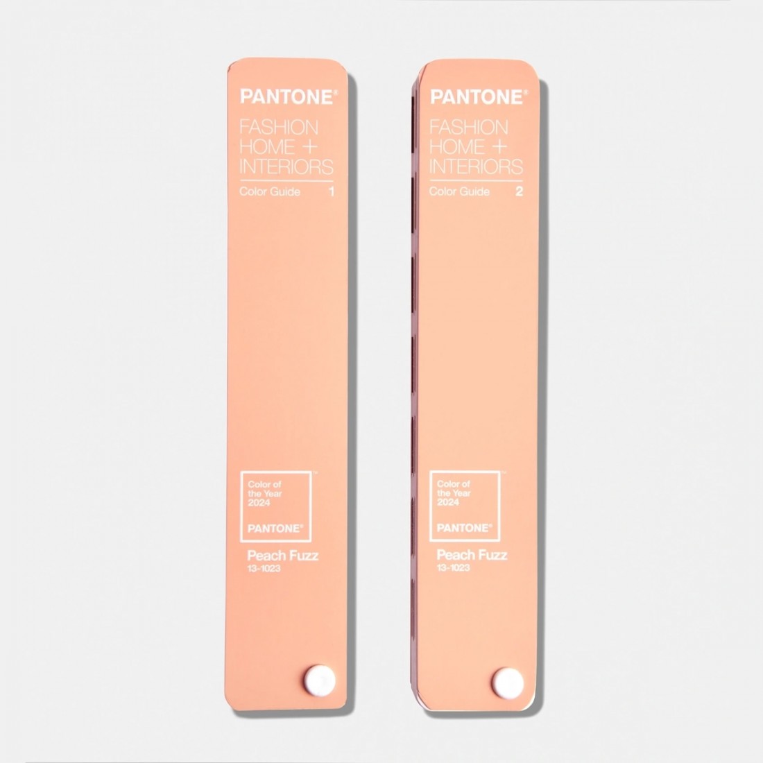 PANTONE COLOR GUIDE LIMITED EDITION, PANTONE COLOR OF THE YEAR 2024